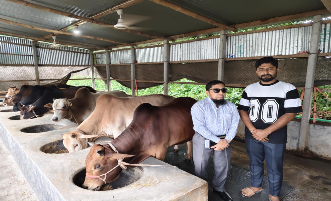 কোরবানি ঈদকে সামনে রেখে গরু প্রস্তুতে ব্যাস্ত ঈশ্বরগঞ্জের খামারিরা কোরবানি ঈদকে সামনে রেখে গরু প্রস্তুতে ব্যাস্ত ঈশ্বরগঞ্জের খামারিরা